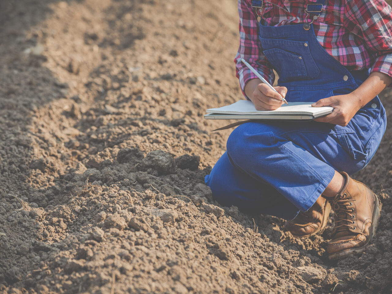 Women farmers are researching the soil.