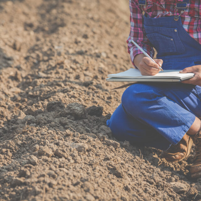 Women farmers are researching the soil.